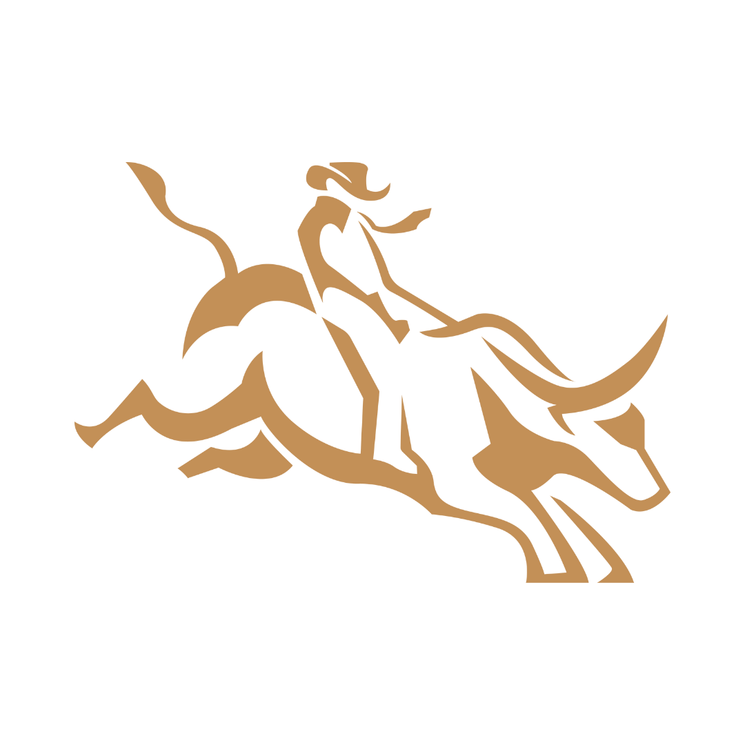 Berrigan Wines bull-rider logo