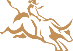 Berrigan’s bull-rider symbol