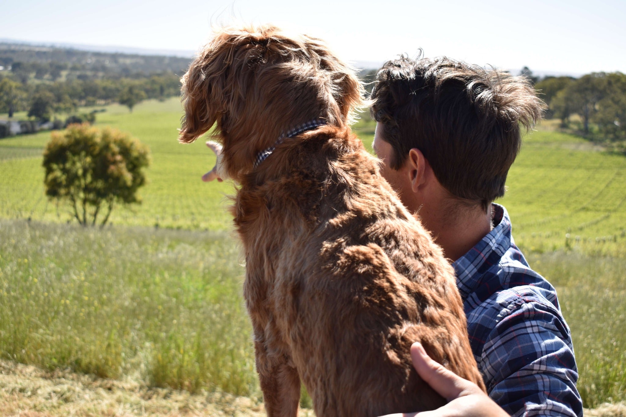 Dan and Max looking across the vineyard